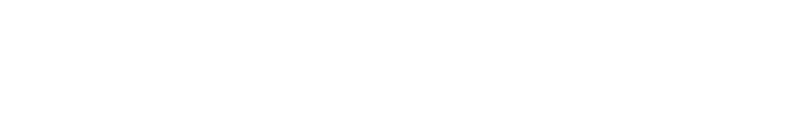 CyberHaven